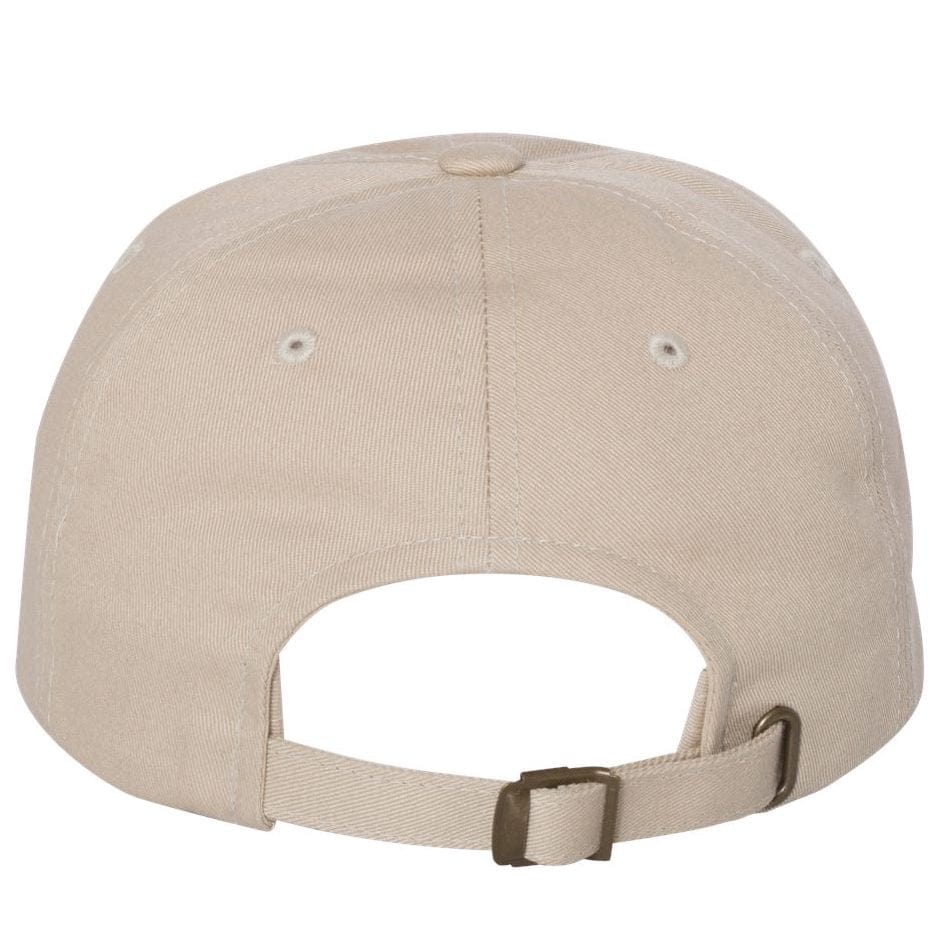 208 Supply Co Hat Stone Be Idaho Nice Dad Hat