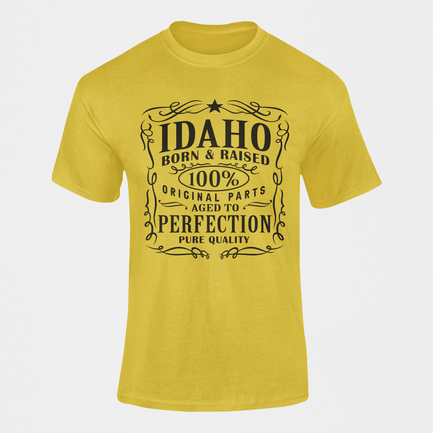 208 Supply Co T-shirt Idaho- Aged to perfection
