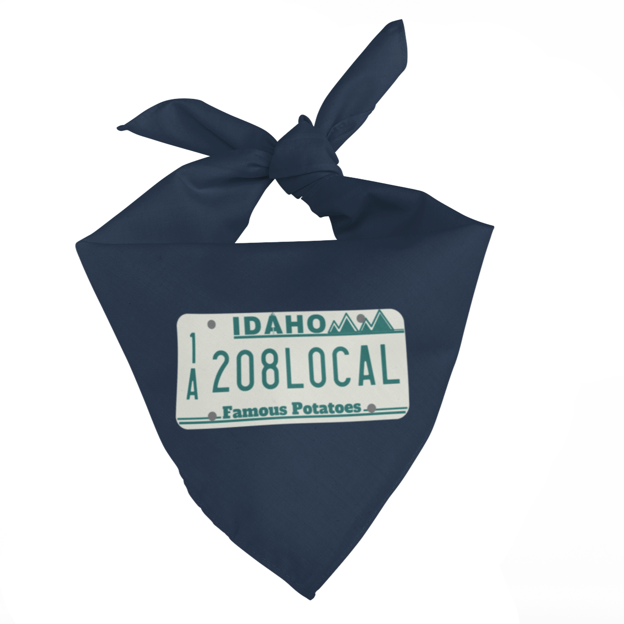 208 Supply Co Navy 208 Local Bandana