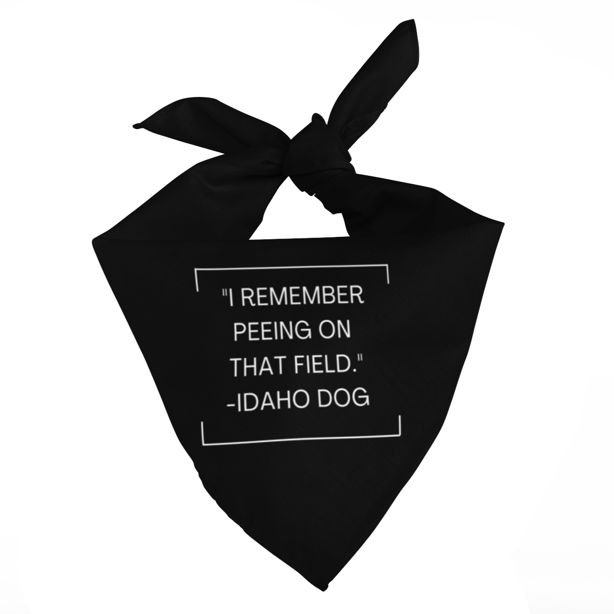 208 Supply Co Animals & Pet Supplies Black I Remember Peeing On That Field Bandana