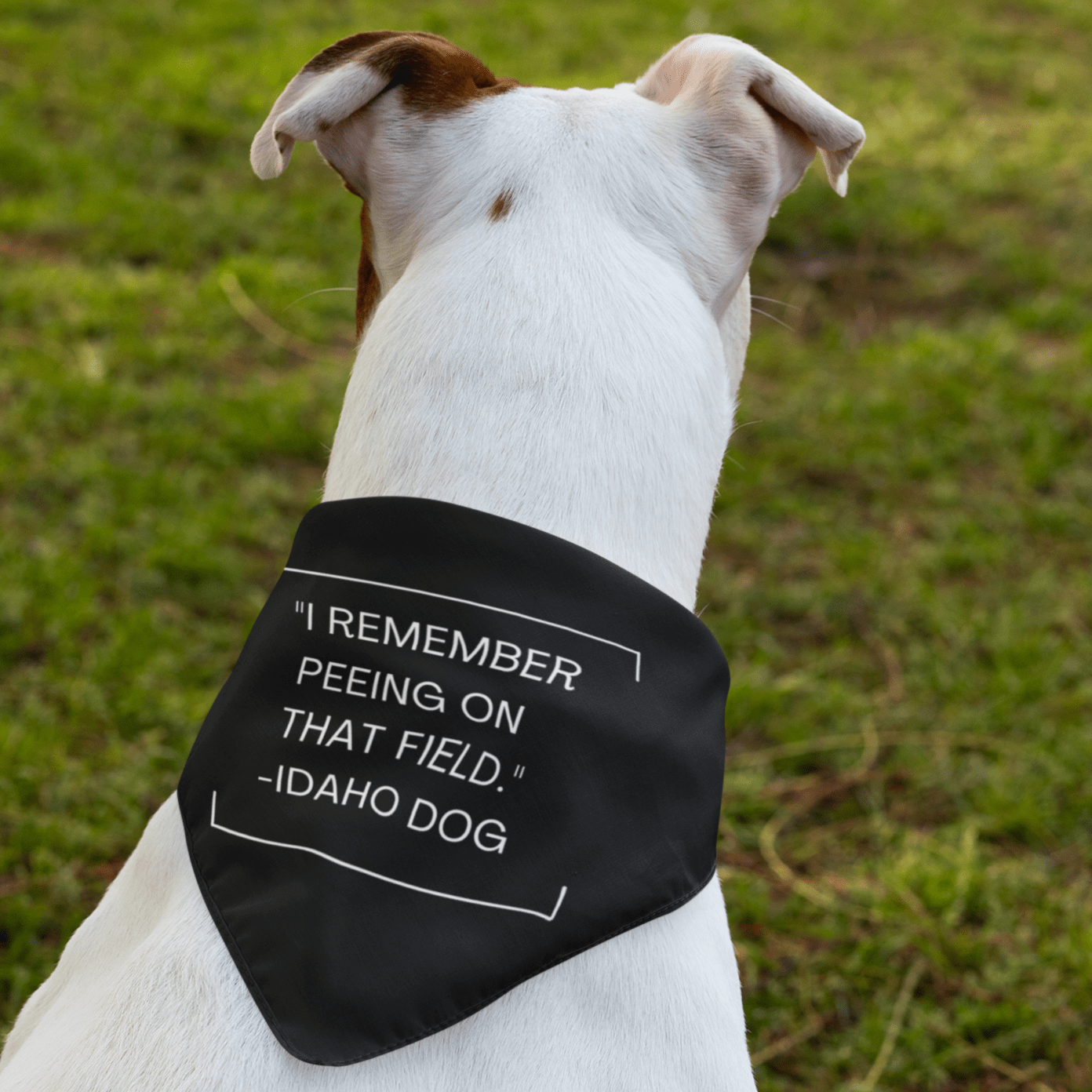 208 Supply Co Animals & Pet Supplies Black I Remember Peeing On That Field Bandana