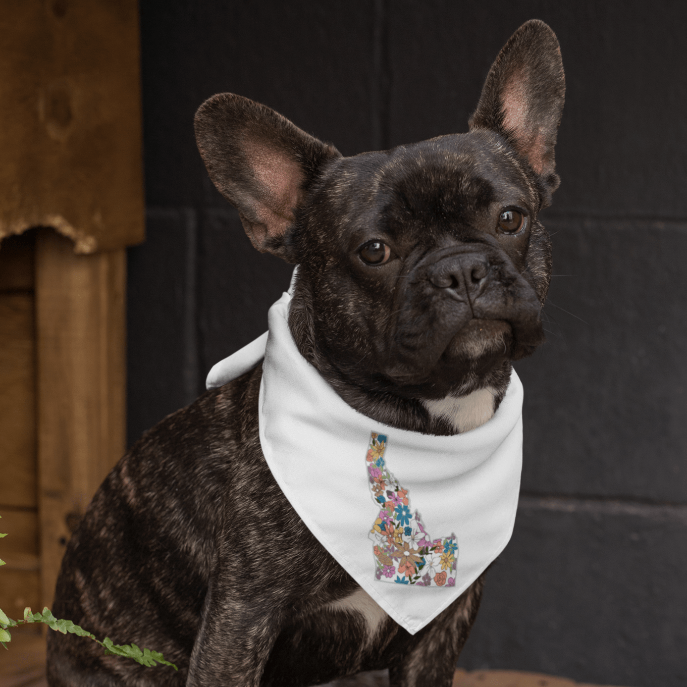 208 Supply Co Animals & Pet Supplies White Idaho Wildflowers Bandana