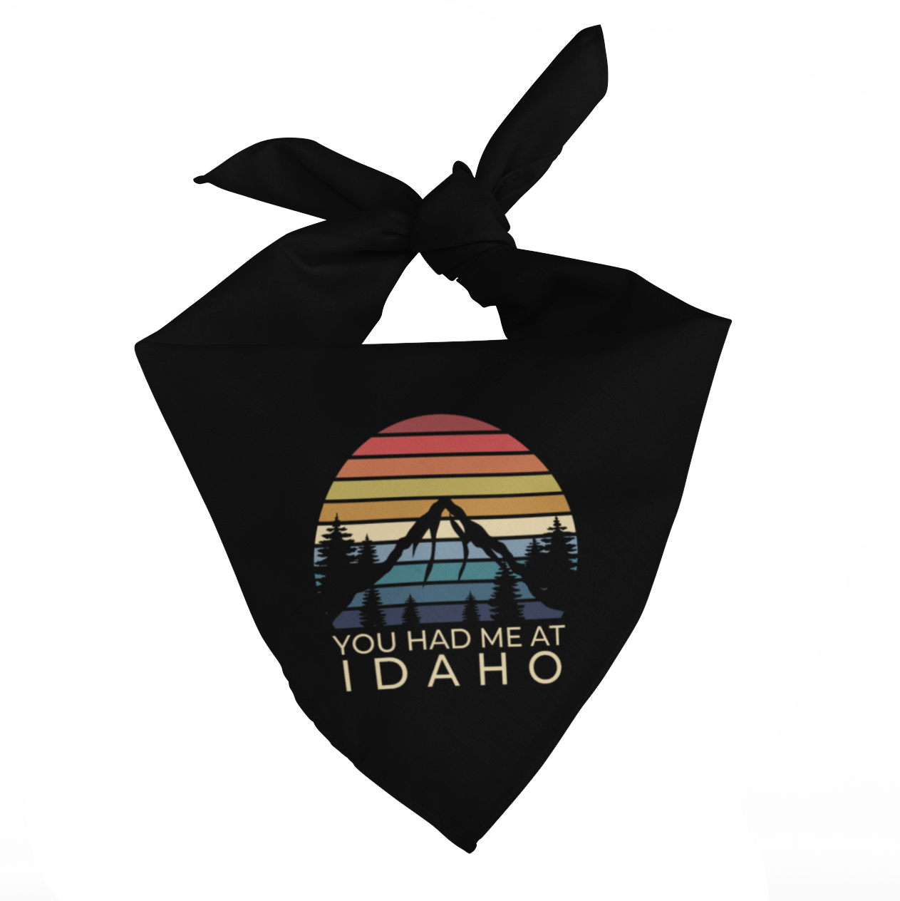 208 Supply Co Black Autumn Stripes Bandana