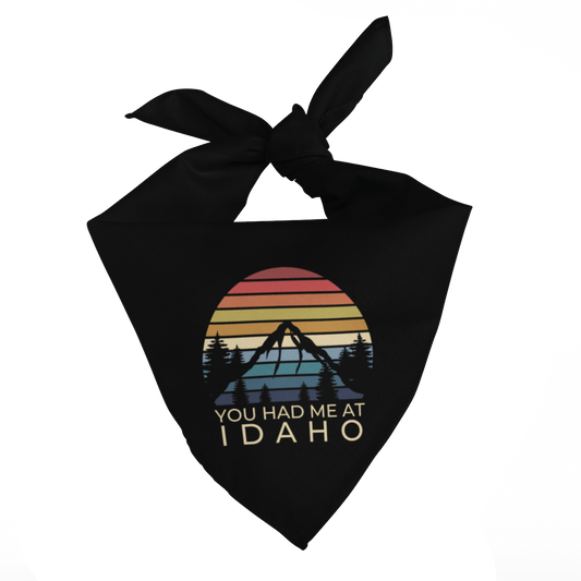 208 Supply Co Black Autumn Stripes Bandana