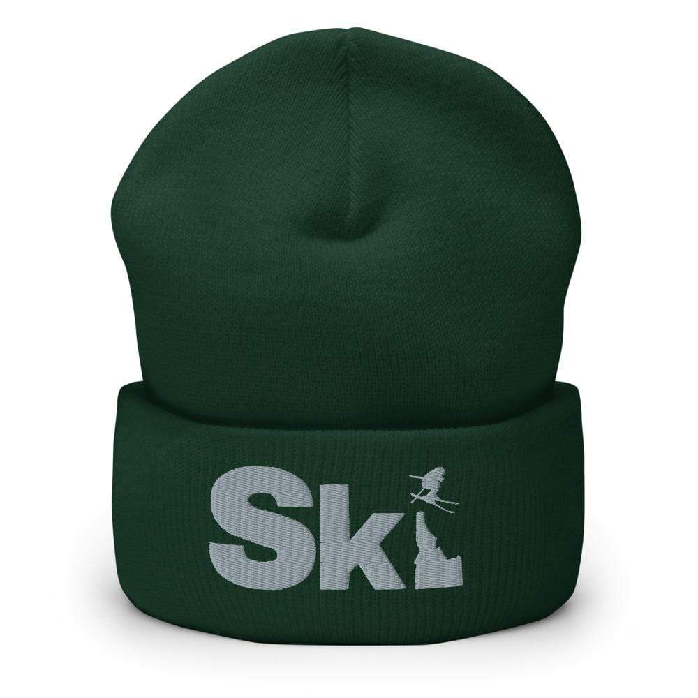 208 Supply Co Spruce Ski Idaho Beanie