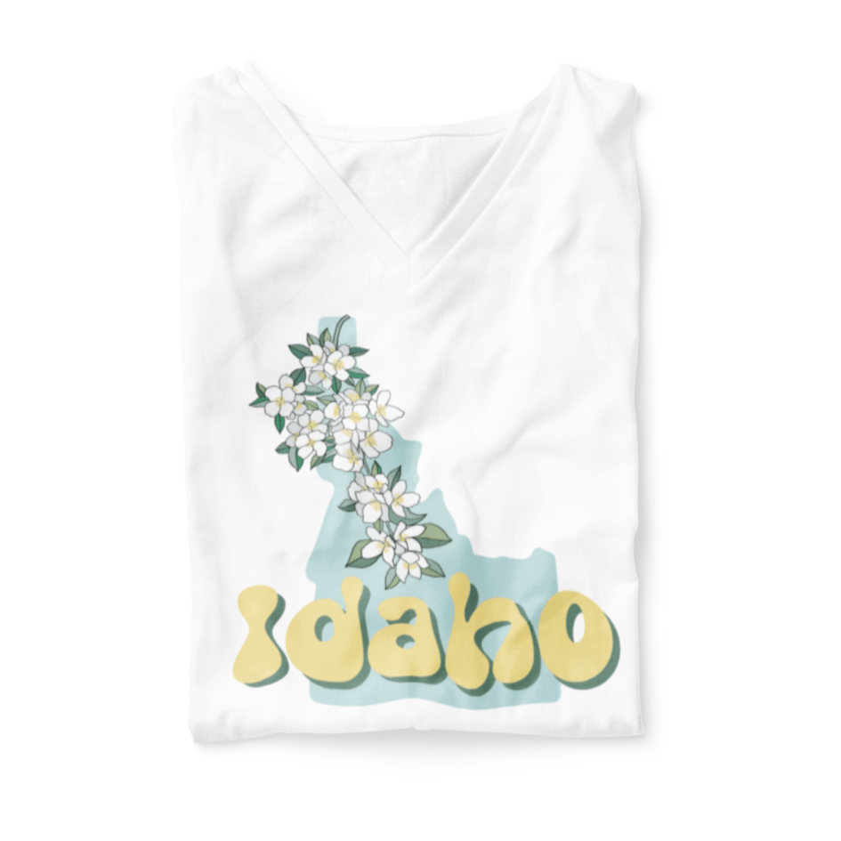 208 Supply Co V-Neck T-Shirt | Bella + Canvas 3005 Small / White Syringa Idaho Unisex V-Neck Tee