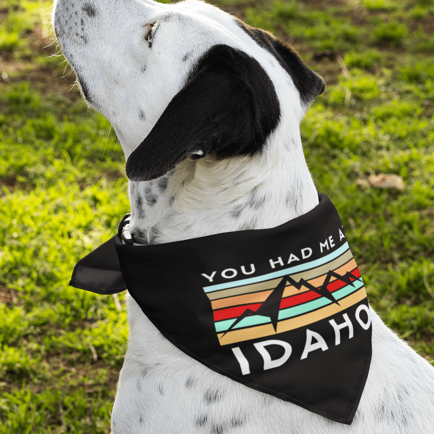 208 Supply Co Black You Had Me At Idaho Bandana