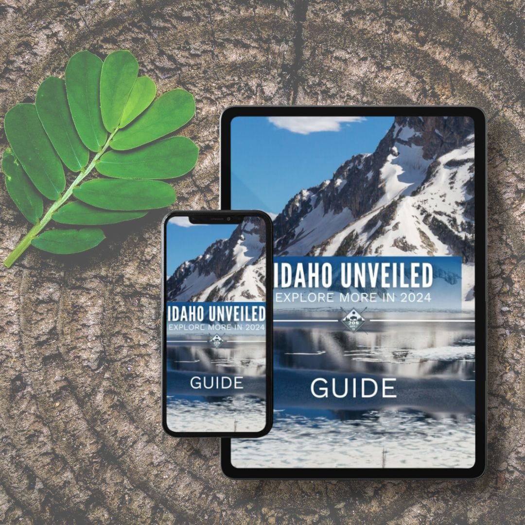208 Supply Co Digital Guide Idaho Unveiled: Explore More In 2024 Digital Guide