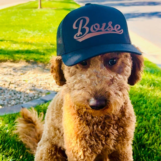 208 Supply Co Hat Boise Leather Patch  - Trucker Hat