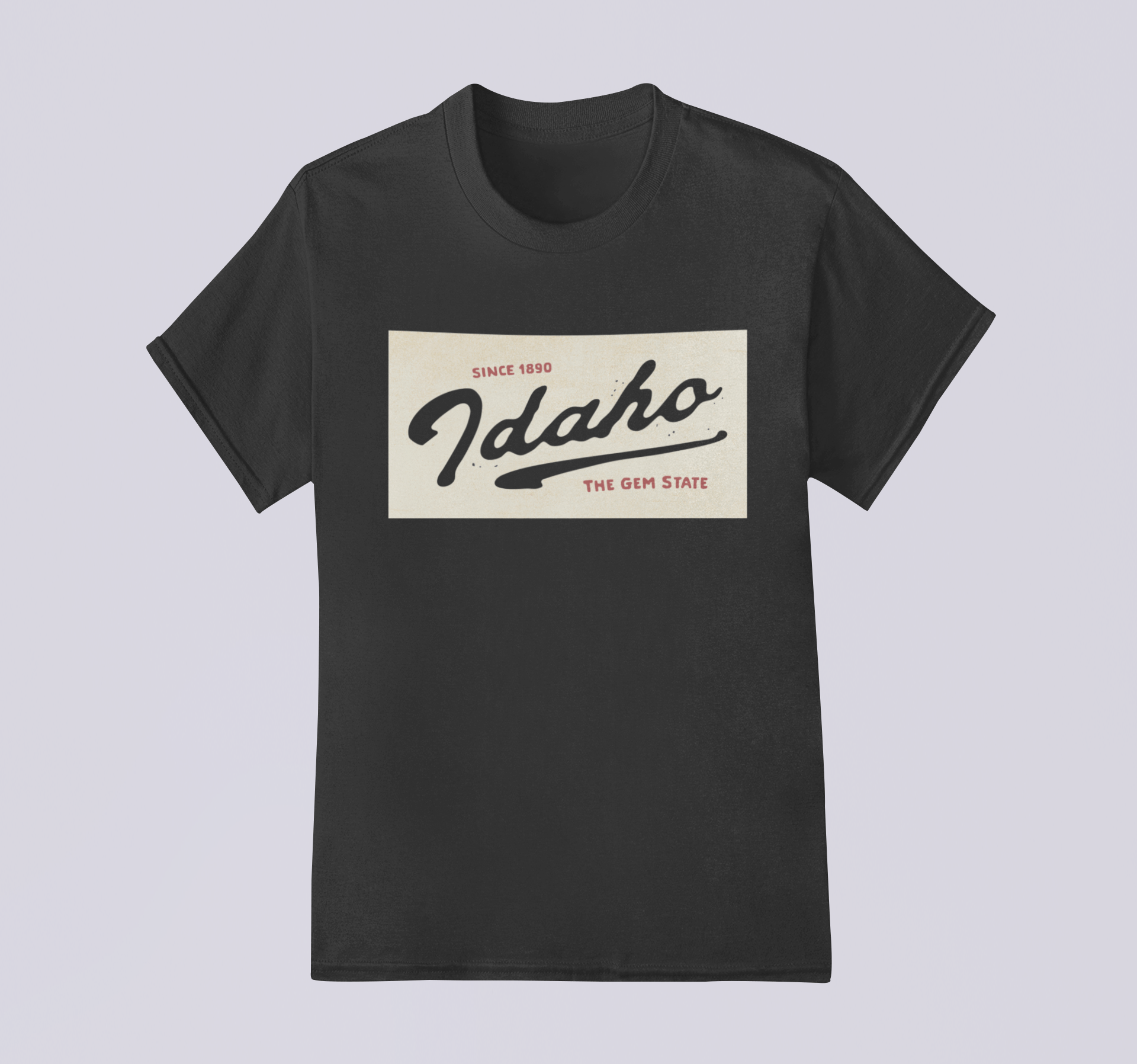 208 Supply Co T-Shirt S / Graphite Idaho- The Gem State